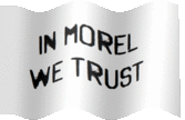 In Morel We Trust gif